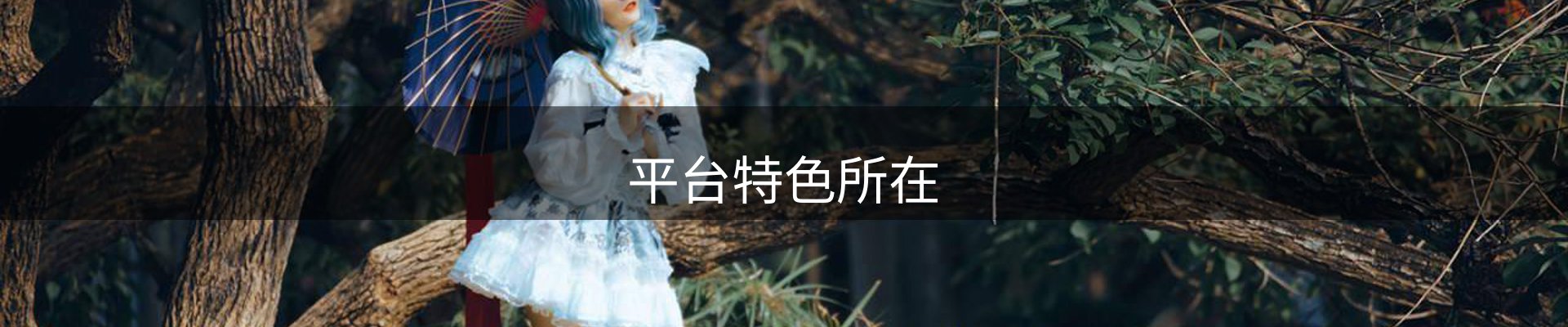 平台特色所在